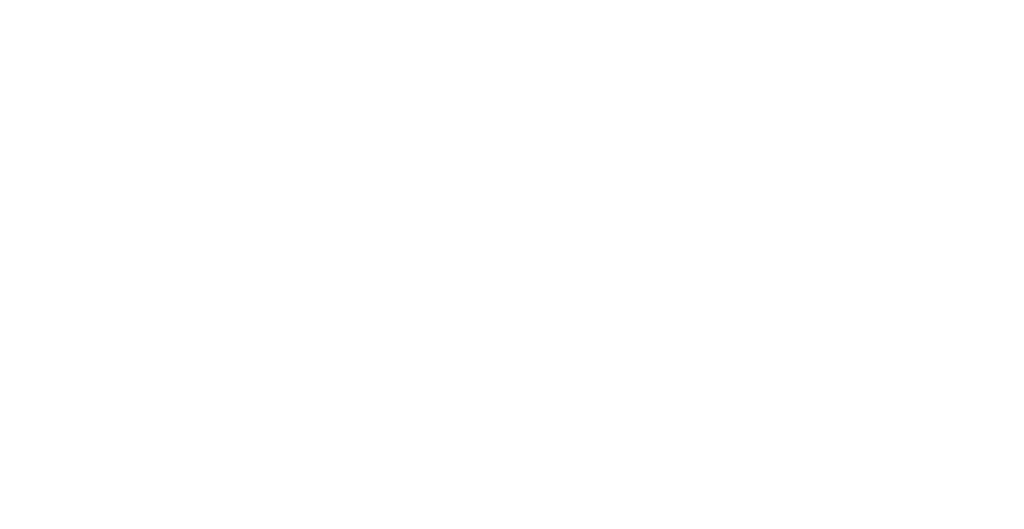 vi2vi GMS GmbH